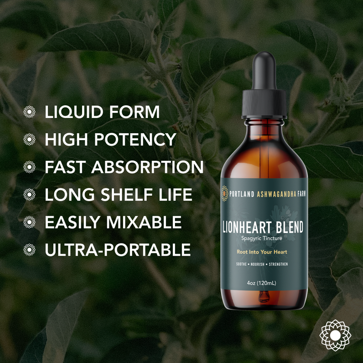 Herbal Remedies - Lionheart Blend