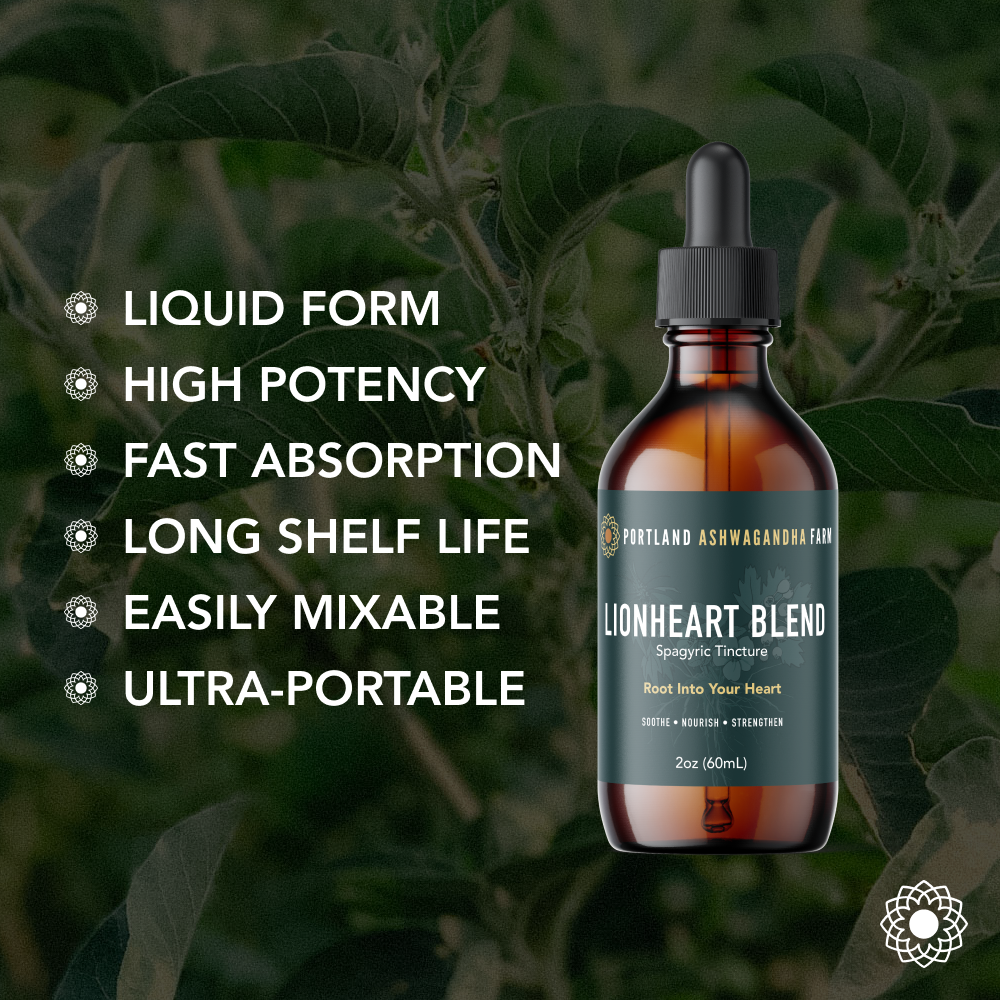 Herbal Remedies - Lionheart Blend