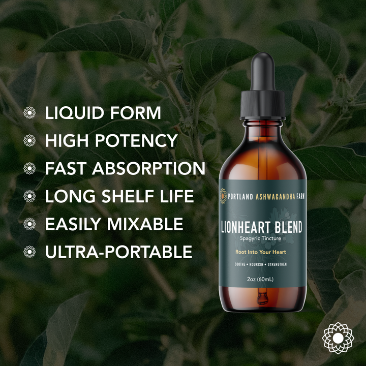 Herbal Remedies - Lionheart Blend