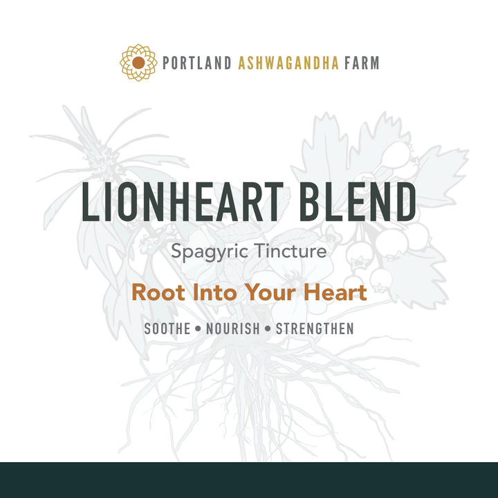 Herbal Remedies - Lionheart Blend